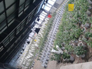 沈陽(yáng)農(nóng)業(yè)大學(xué)實(shí)驗(yàn)基地(冷庫(kù))