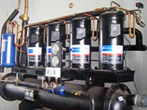 食用菌工廠化生產(chǎn)